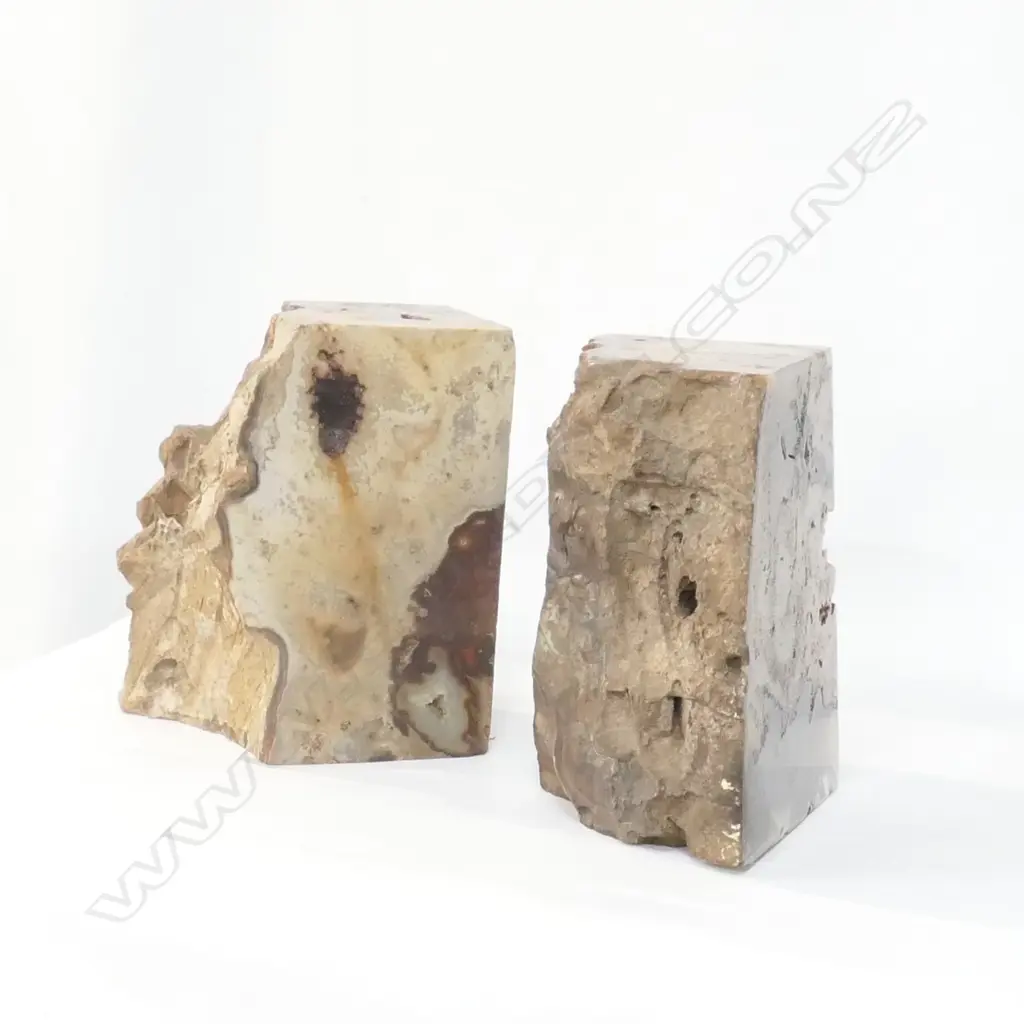 POLISHED PETRIFIED WOOD BOOK ENDS H. 175MM Image 1++