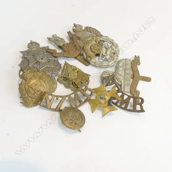 2 BAGS MILITARY BADGES APPROX 10