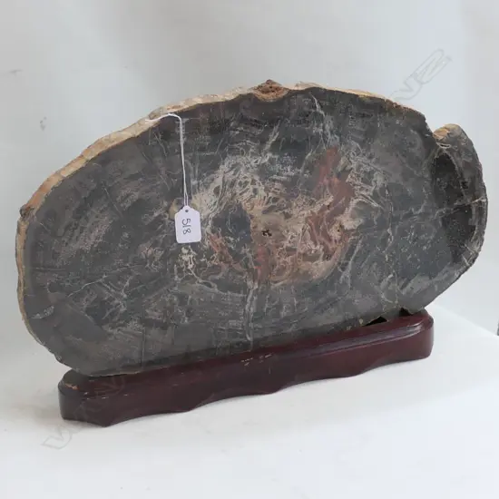 PETRIFIED WOOD SLICE ON STAND 500MM L
