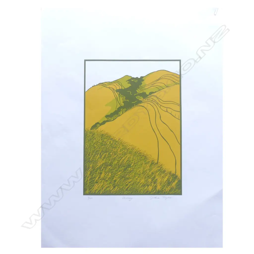 CYNTHIA TAYLOR SCREENPRINT 'VALLEY' 7/45 H. 360 W. 260 Image 1++
