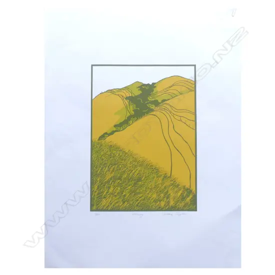 CYNTHIA TAYLOR SCREENPRINT 'VALLEY' 7/45 H. 360 W. 260