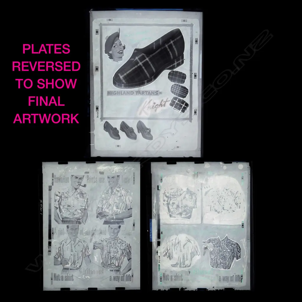 Three large format glass plate negatives Image 1++