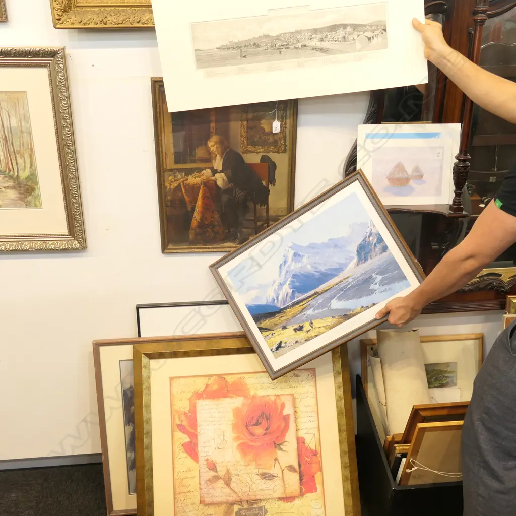 6 ASST PRINTS ETC Image 1++