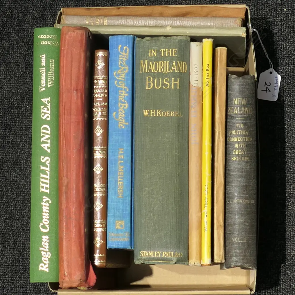 LOT EARLY NEW ZEALAND BOOKS - FITZROY OF THE BEAGLE / IN THE MAORILAND BUSH ETC Image 1++