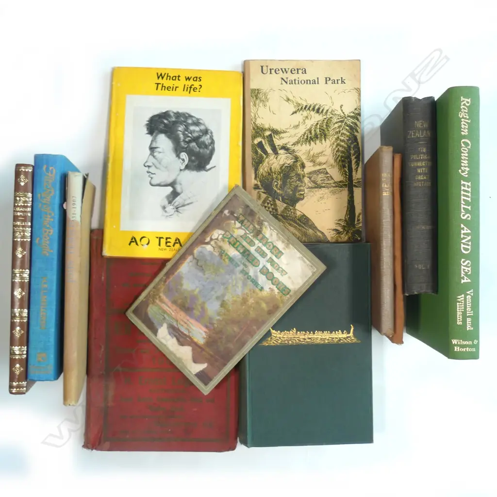 LOT EARLY NEW ZEALAND BOOKS - FITZROY OF THE BEAGLE / IN THE MAORILAND BUSH ETC Image 1++