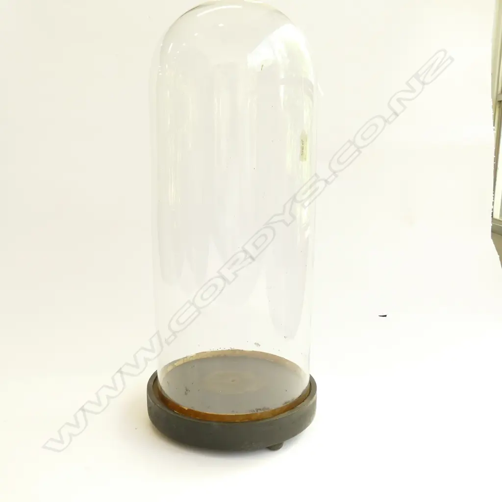 VINTAGE GLASS DISPLAY DOME ON EBONISED ROUND BASE Image 1++