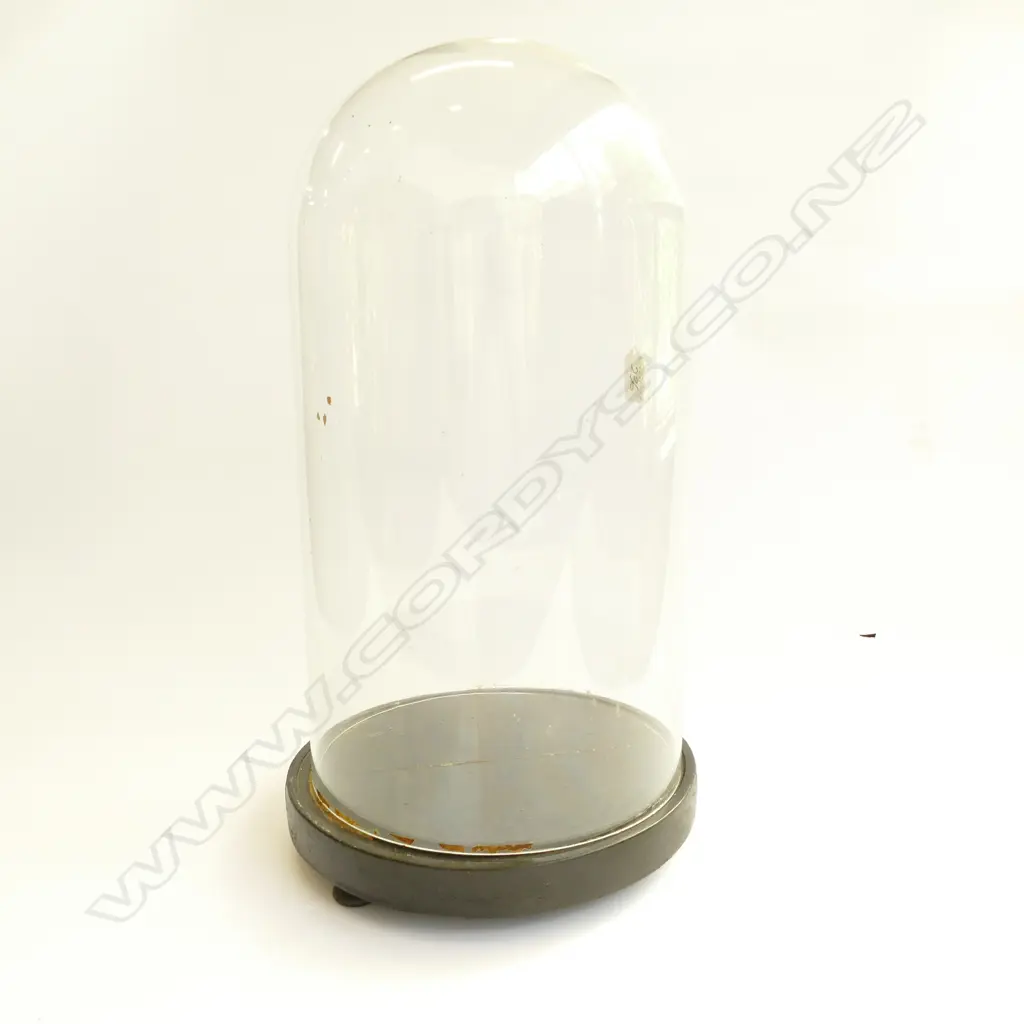 VINTAGE GLASS DISPLAY DOME ON EBONISED ROUND BASE Image 1++
