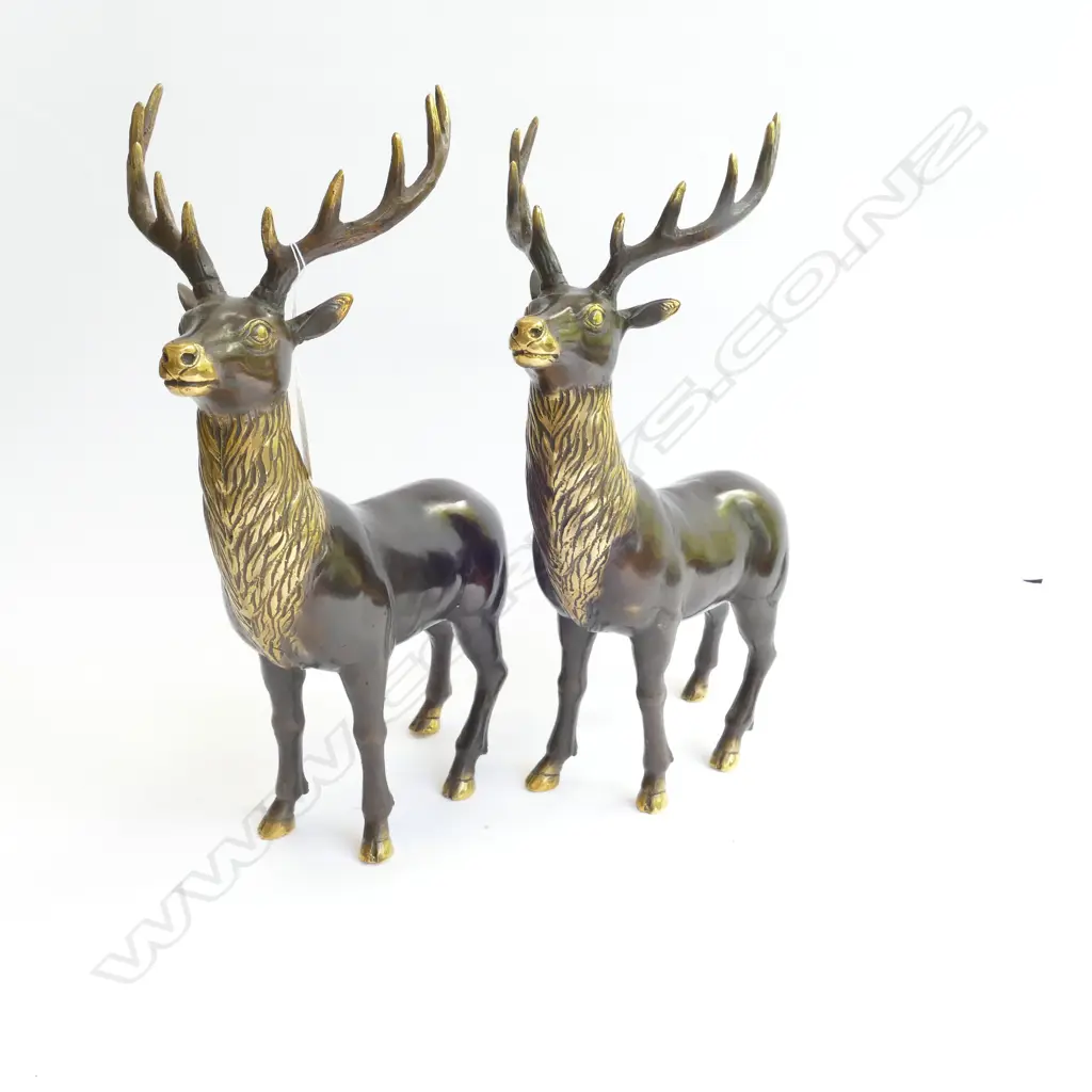 PR BRONZE/BRASS STANDING STAGS POLISHED HIGHLIGHTS... Image 1++