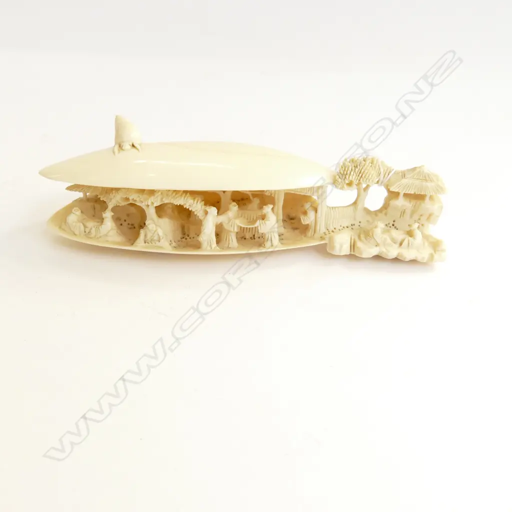 SMALL IVORY DREAM SHELL L130 MM Image 1++