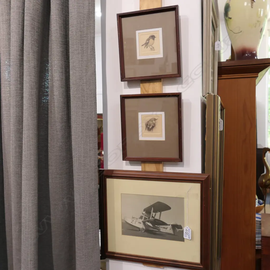 PAIR OF NZ BIRD ETCHINGS AND PHOTOGRAPH OF FLYING BOAT 335MM W X 285MM H Image 1++