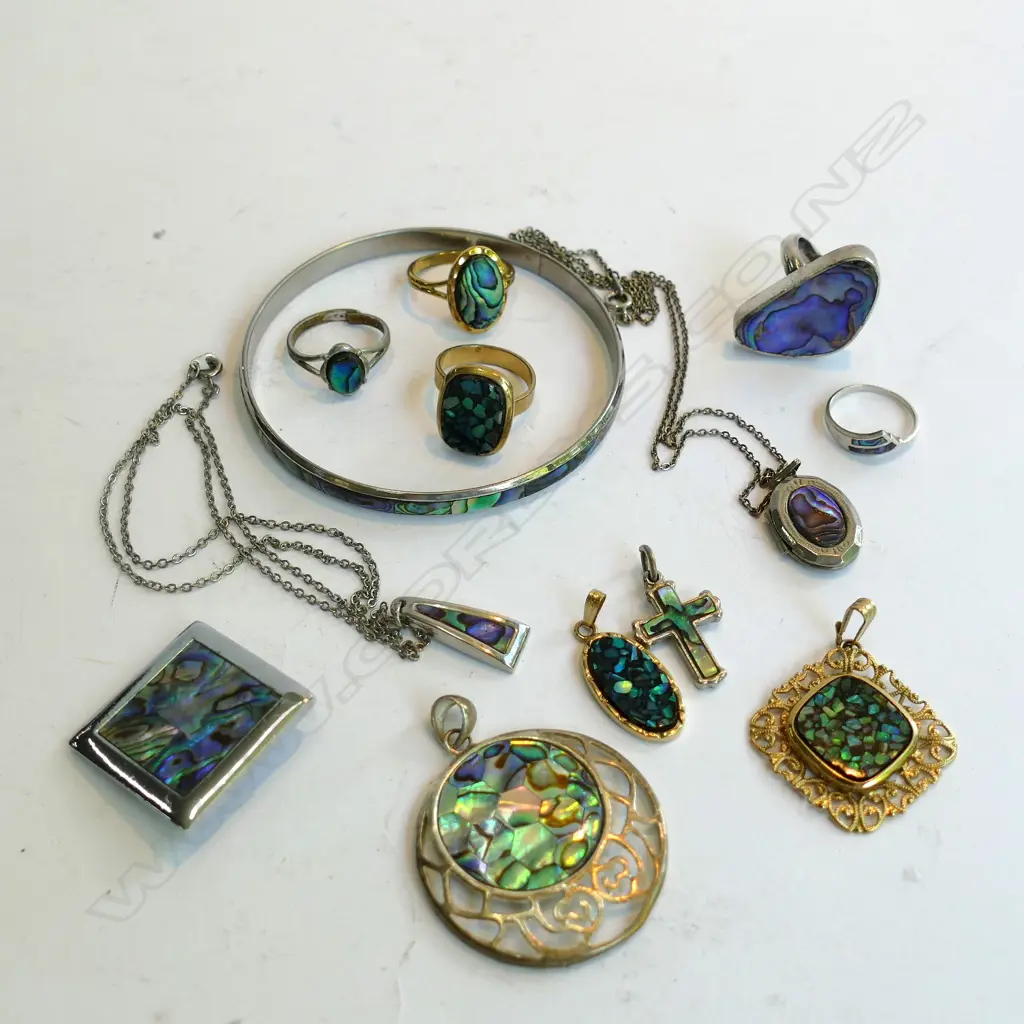 BAG PAUA JEWELRY Image 1++