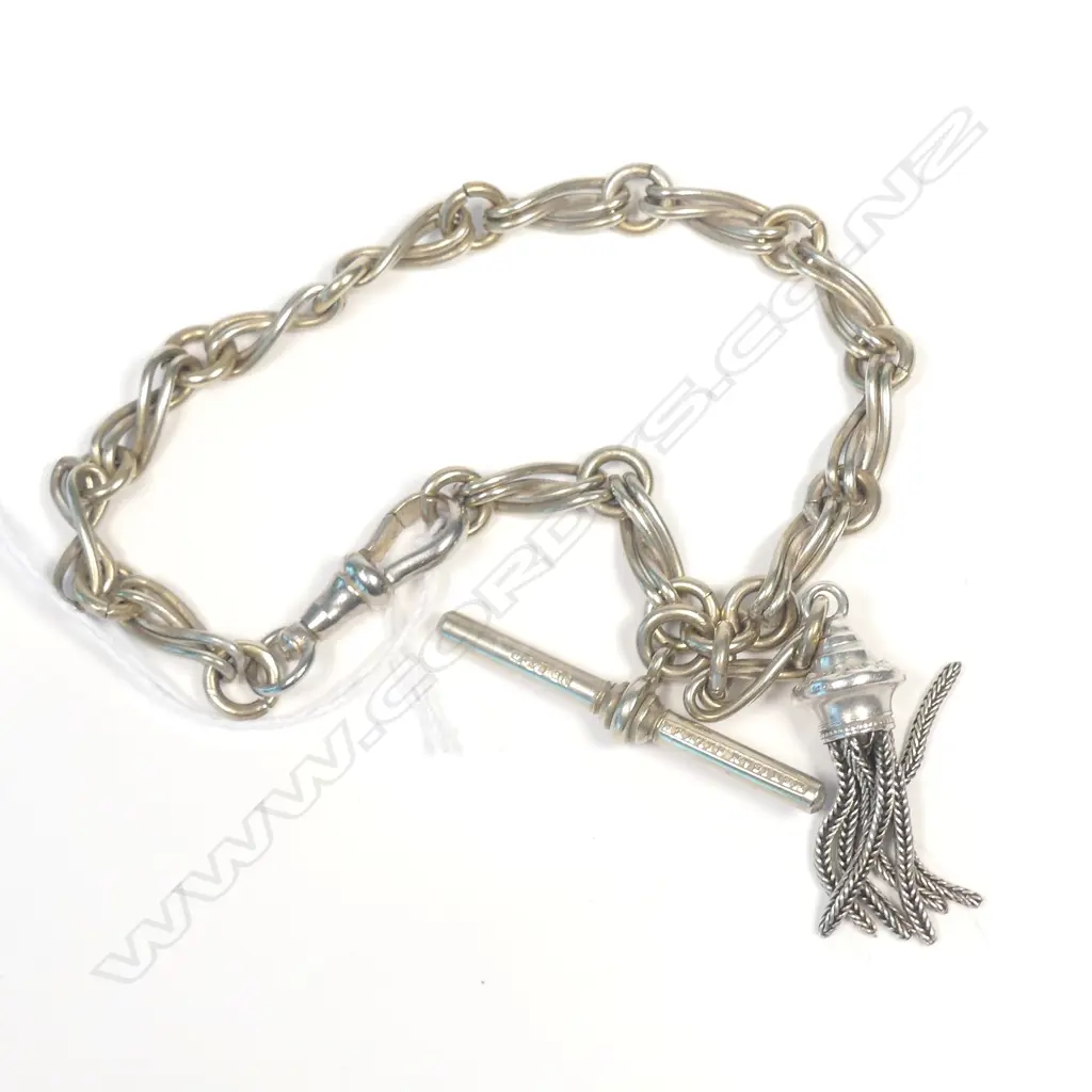 MEXICAN SILVER ALBERTINA Image 1++