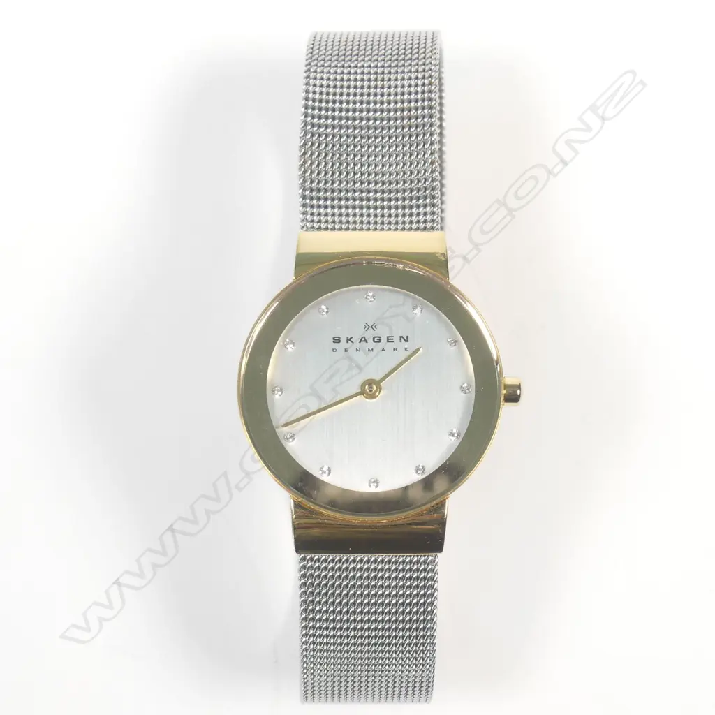 SKAGEN WATCH Image 1++