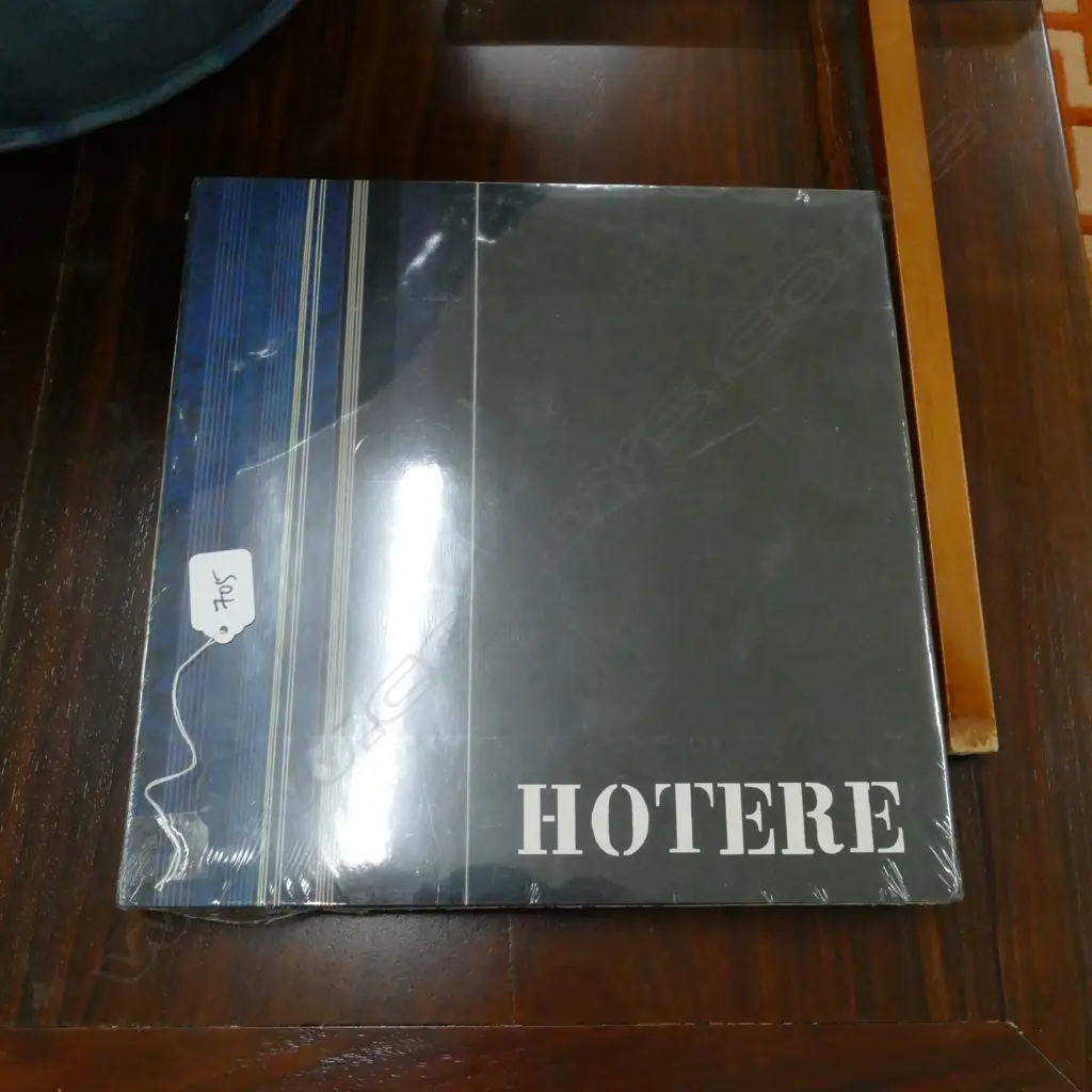 RALPH HOTERE - RON SANG LARGE FORMAT BOOK - BRAND NEW / UNOPENED Image 1++