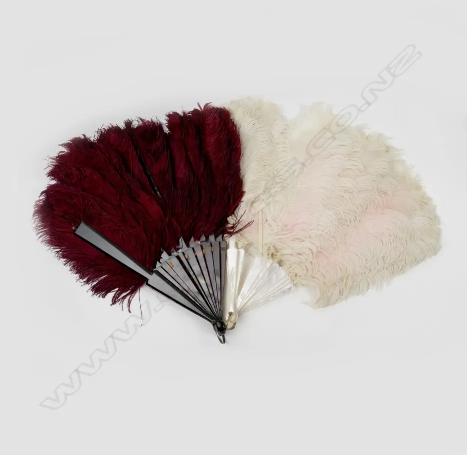 Two ostrich feather fans Image 1++