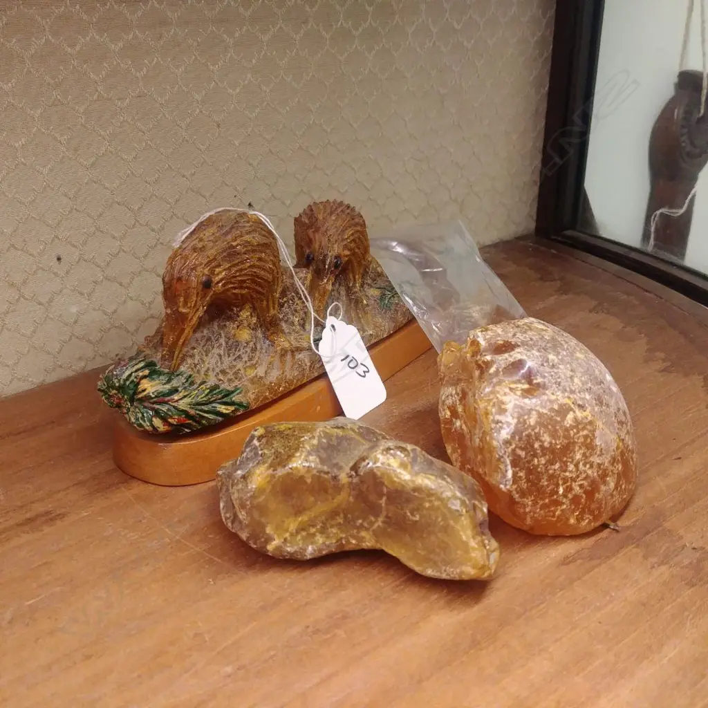 KAURI GUM KIWIS AF & 2 NUGGETS Image 1++