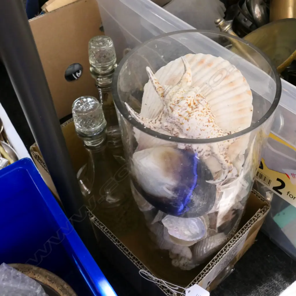 PR OF DECANTERS + ASSORTED WORLD SHELLS Image 1++