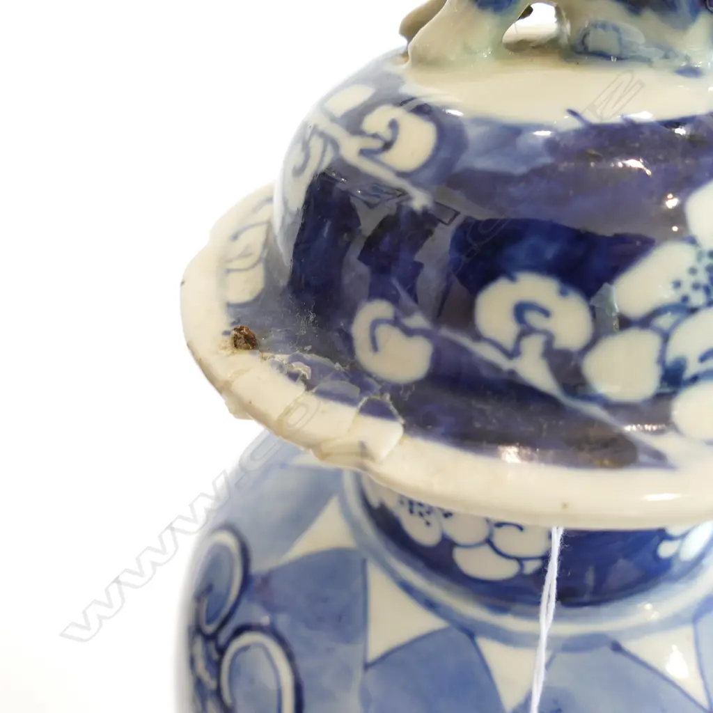 TALL LIDDED GINGER JAR 370MM H AF Image 1++