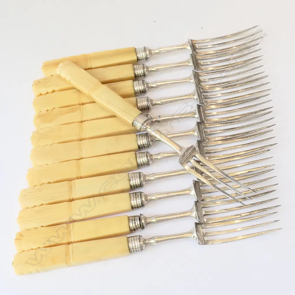 SET 12 VICT. IVORY HANDLED & STEEL FRUIT FORKS Image 1++