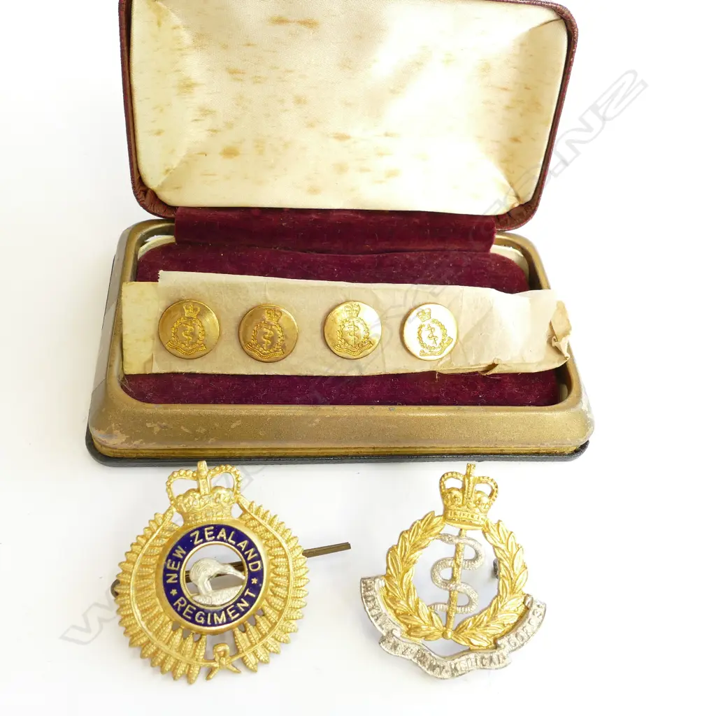 NZ REGIMENT BADGES IN CASE ETC Image 1++