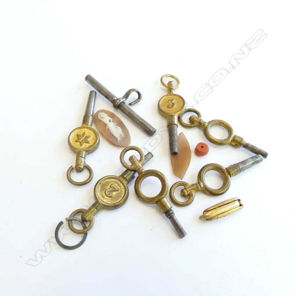 BAG OF WATCH KEYS; 2 LOOSE CAMEO PIECES Image 1++