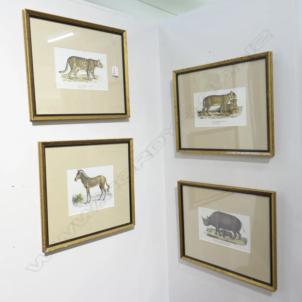 4 FRAMED LITHOGRAPHS SAFARI ANIMALS LARGEST FRAME 330 X 410MM Image 1++