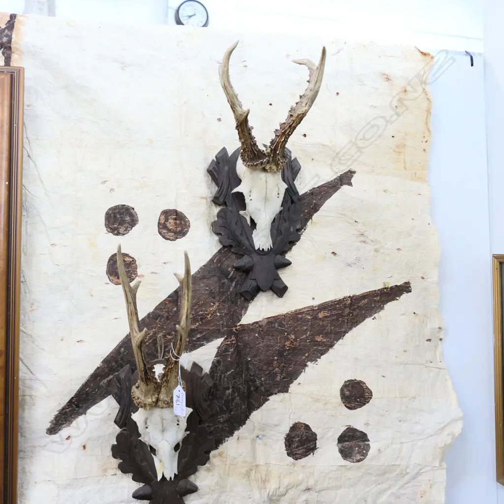 2 PAIRS OR MOUNTED EUROPEAN ANTLERS Image 1++