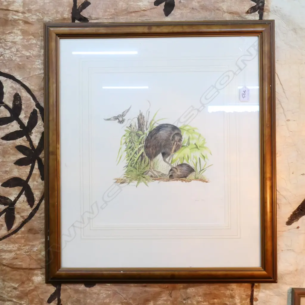 D. BLACKIE, WATERCOLOUR 'KIWIS & RURU' SIGNED & DATED 1986. 360 X 305mm Image 1++