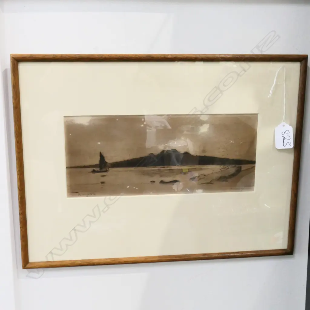 TREVOR LLOYD ETCHING 'RANGITOTO' TONED Image 1++