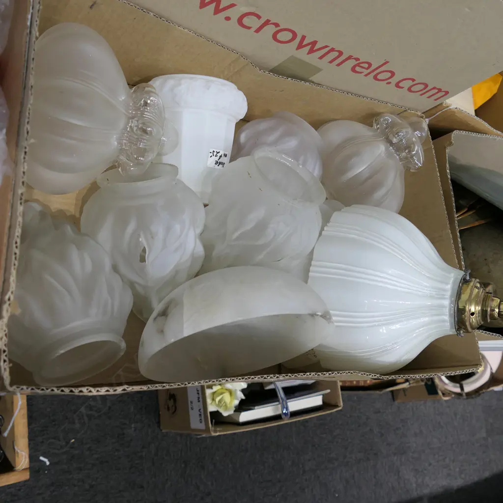 BOX OF ASST LIGHT SHADES Image 1++