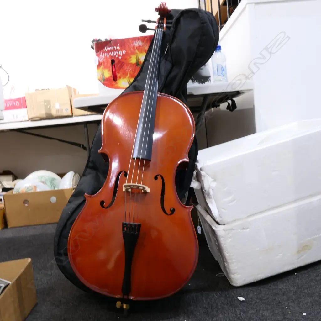 CELLO IN BAG Image 1++