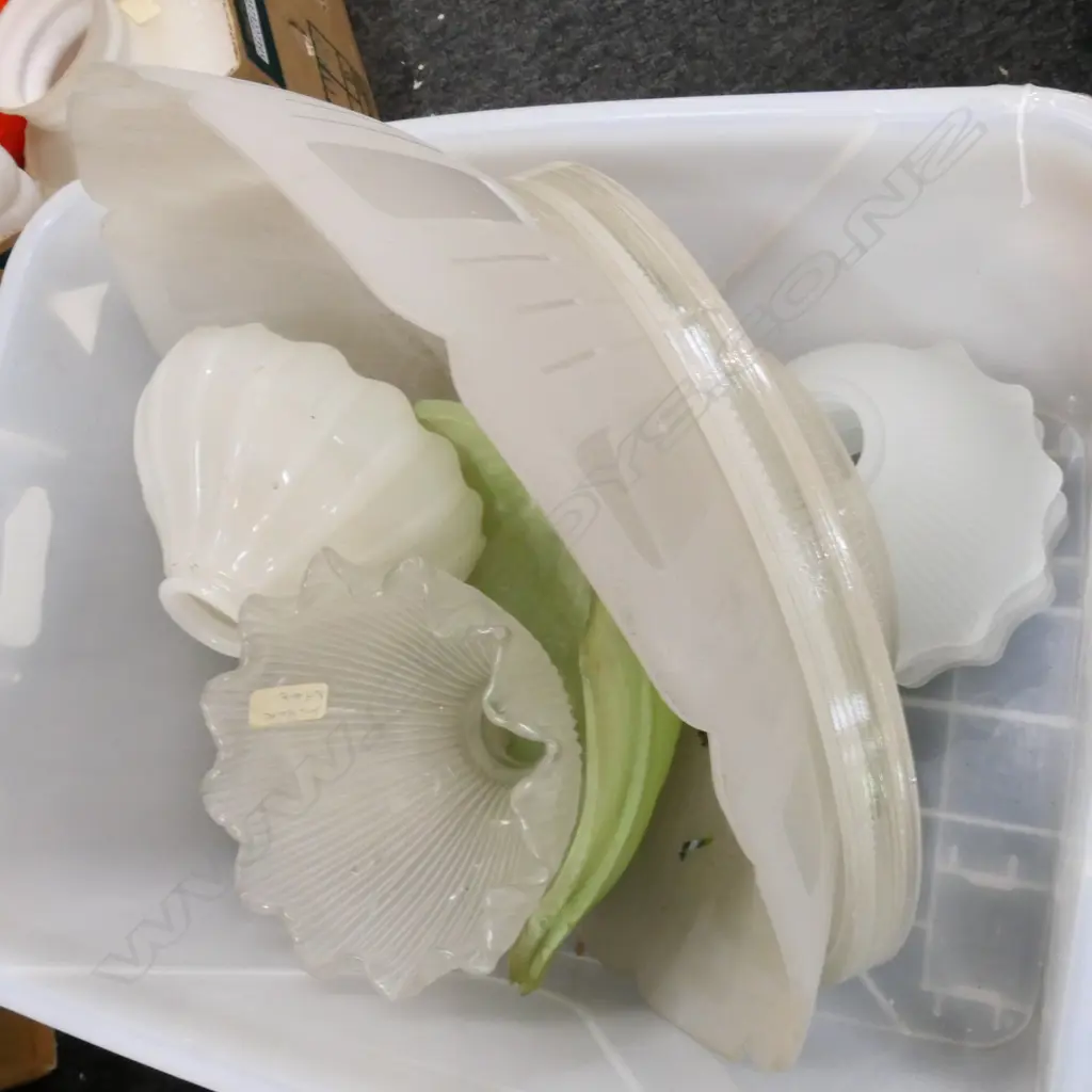BOX LOT ASST. FROSTED GLASS SHADES Image 1++