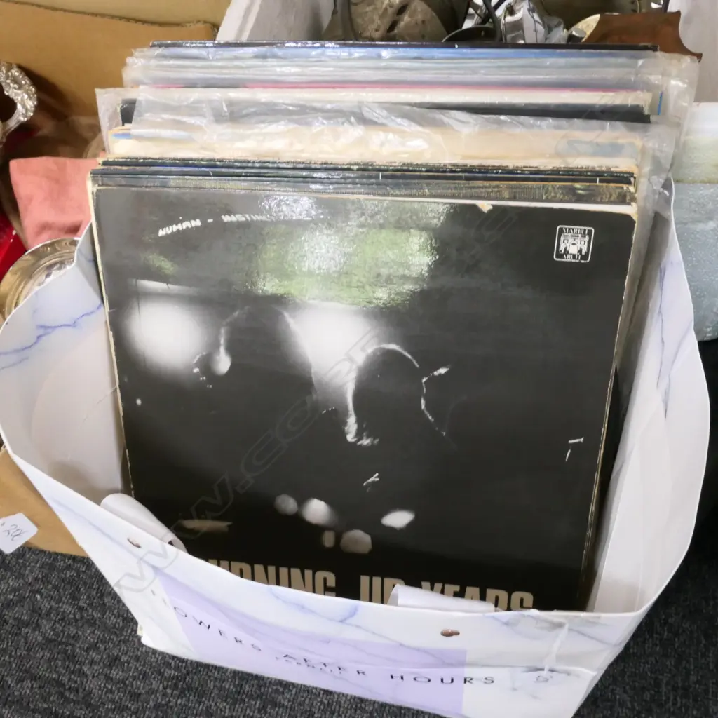 ASST RECORDS/HUMAN INSTINCT/L MARKS/BLUES ETC Image 1++