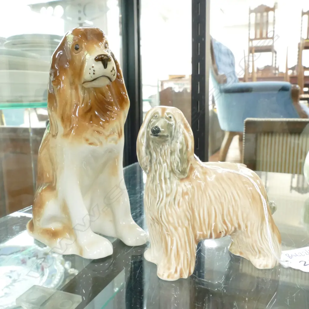 POOLE AFGHAN DOG + ROYAL DUX SPANIEL Image 1++