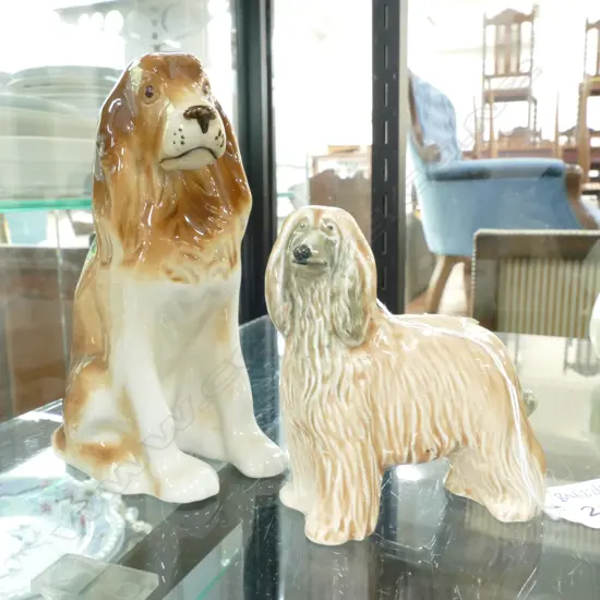 POOLE AFGHAN DOG + ROYAL DUX SPANIEL