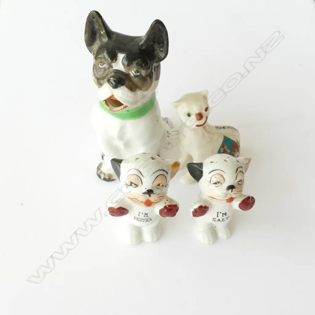 ASST NOVELTY CONDIMENTS AND JUGS Image 1++