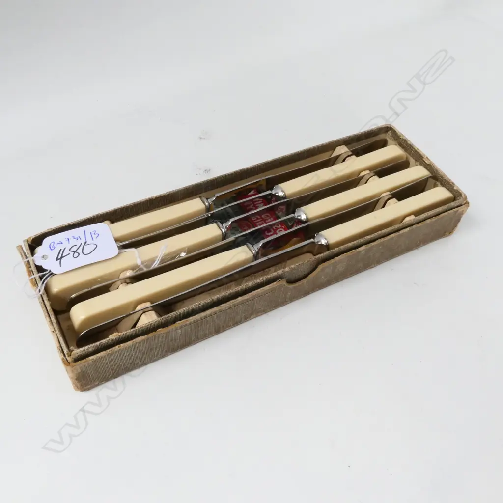 6 BOXED TABLE KNIVES Image 1++