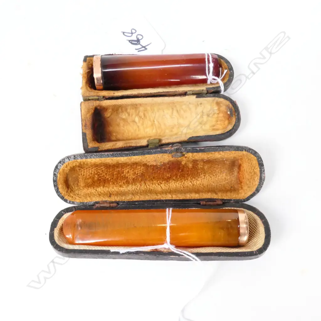 TWO AMBER AND GOLD MOUNTED CIGAR HOLDERS IN CASES - ONE STAMPED 9CT GOLD Image 1++