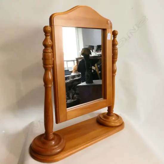 KAURI TOILET SWING MIRROR