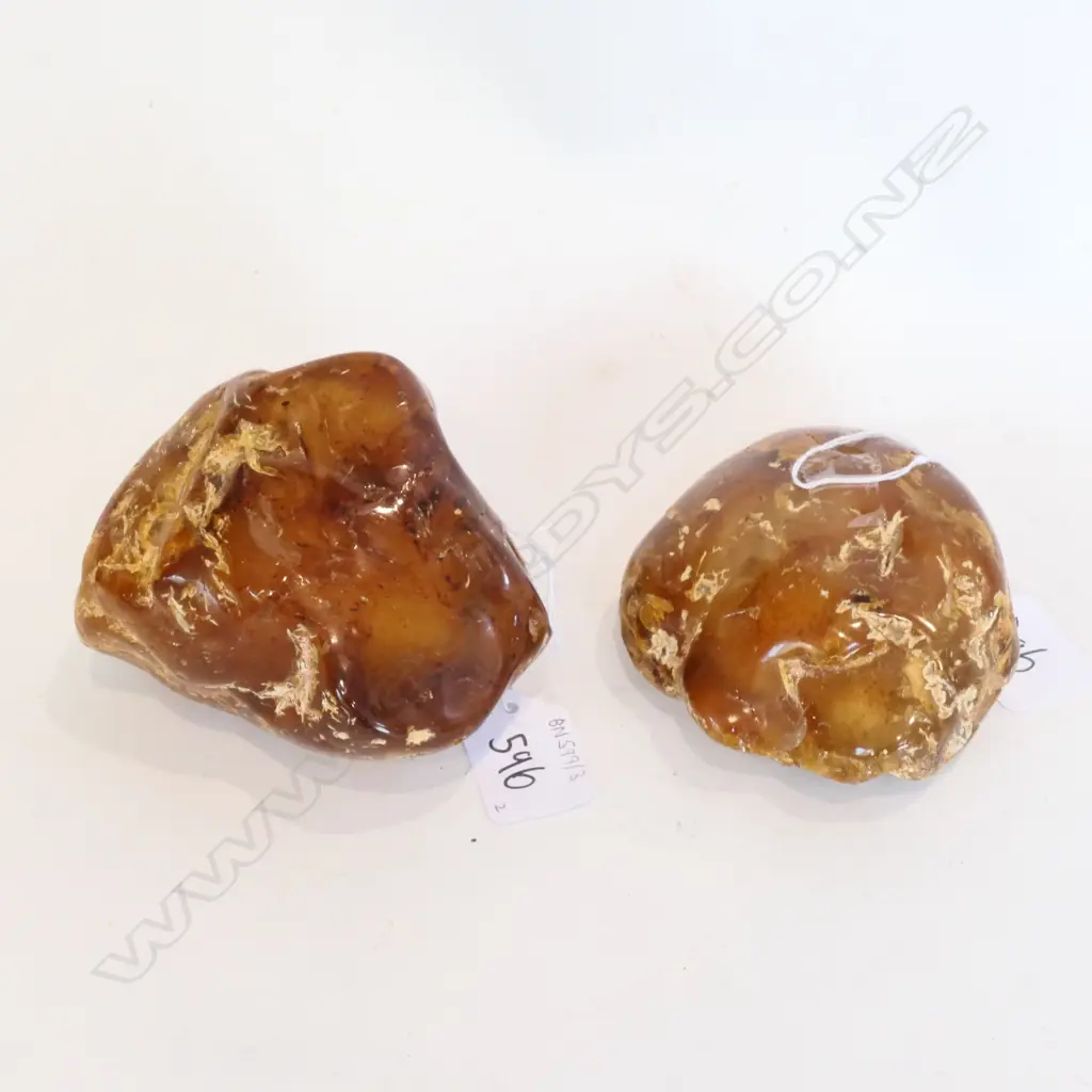 TWO POLISHED KAURI GUM PIECES, L. 105 & 110MM, W. 510GM Image 1++