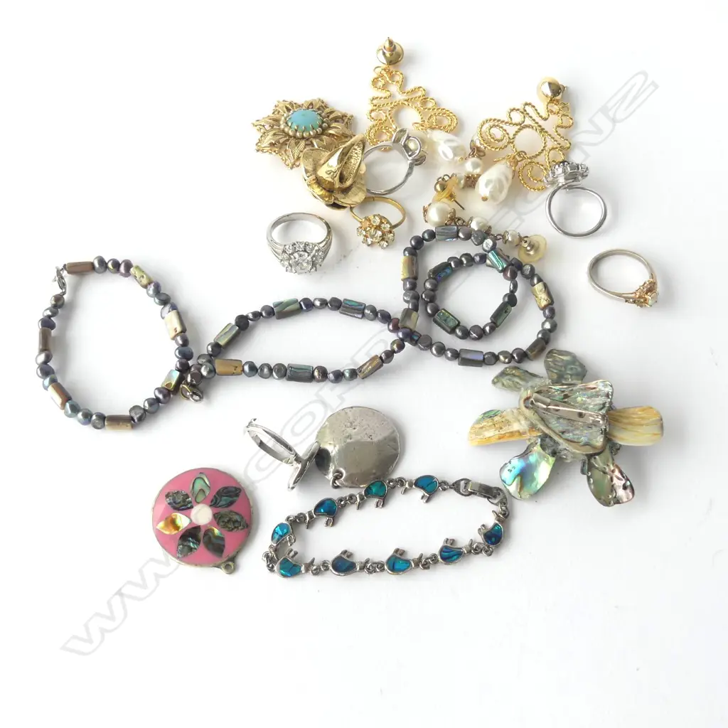 ASSORTED PAUA JEWELLERY & MISC RINGS & BROOCHES Image 1++