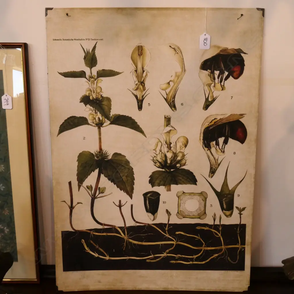 BOTANICAL PRINT Image 1++