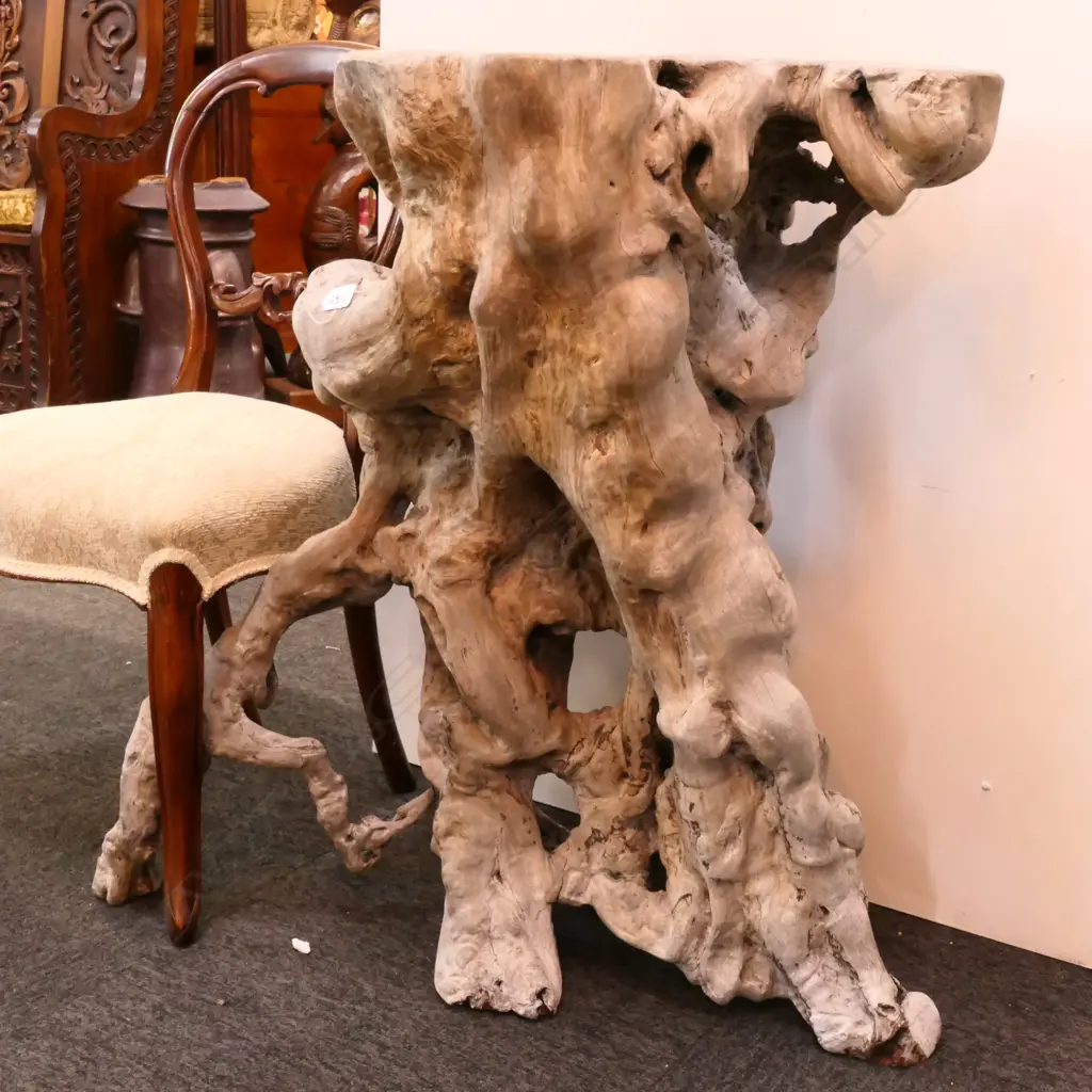 LGE GNARLED ROOT WOOD STAND Image 1++