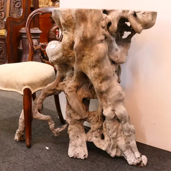 LGE GNARLED ROOT WOOD STAND