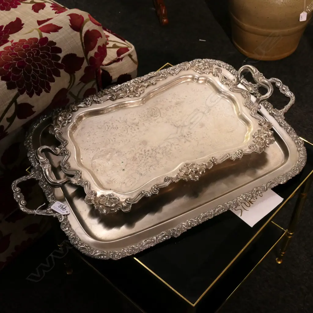 2 E.P TWO HANDLED TRAYS L 650 MM Image 1++