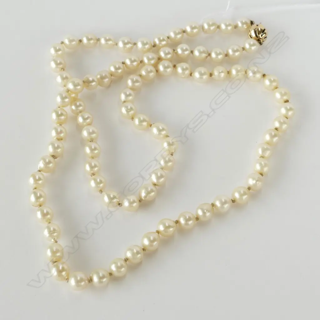 AKOYA CULTURED PEARL NECKLACE 9CT GOLD CLASP VAL.$2100.00 Image 1++