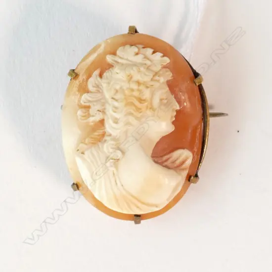 VINTAGE SHELL CAMEO