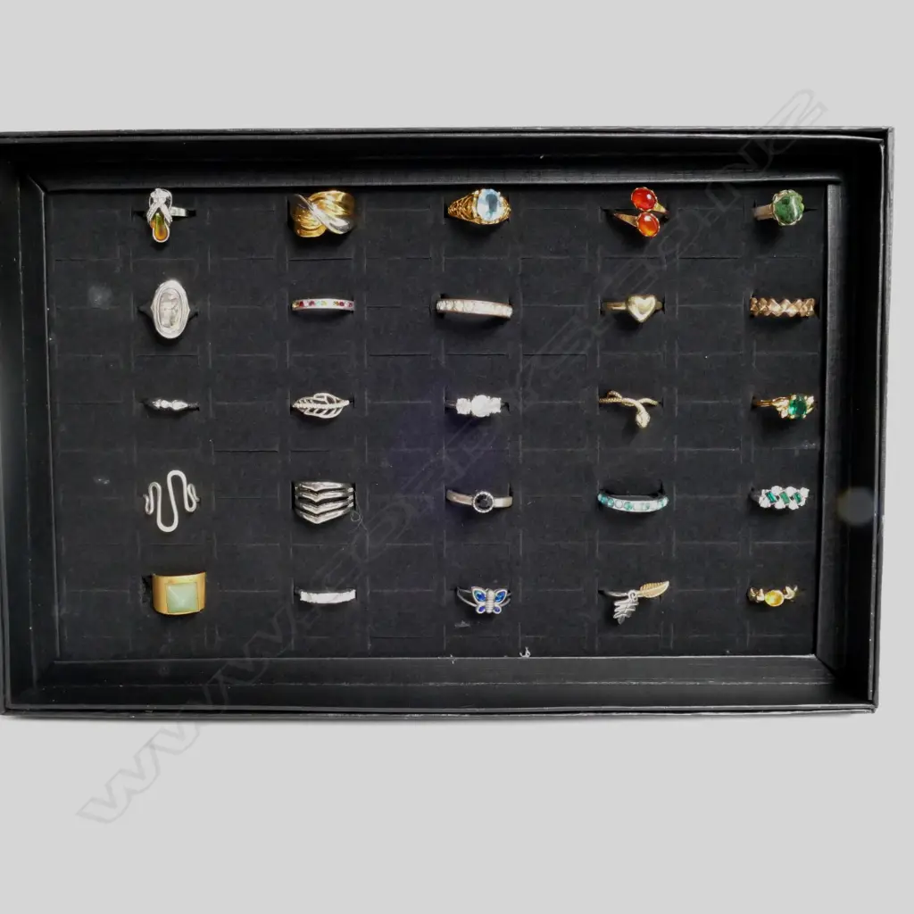 25 COSTUME RINGS IN A DISPLAY BOX Image 1++