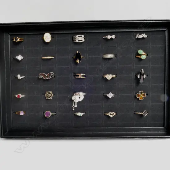 25 COSTUME RINGS IN A DISPLAY BOX