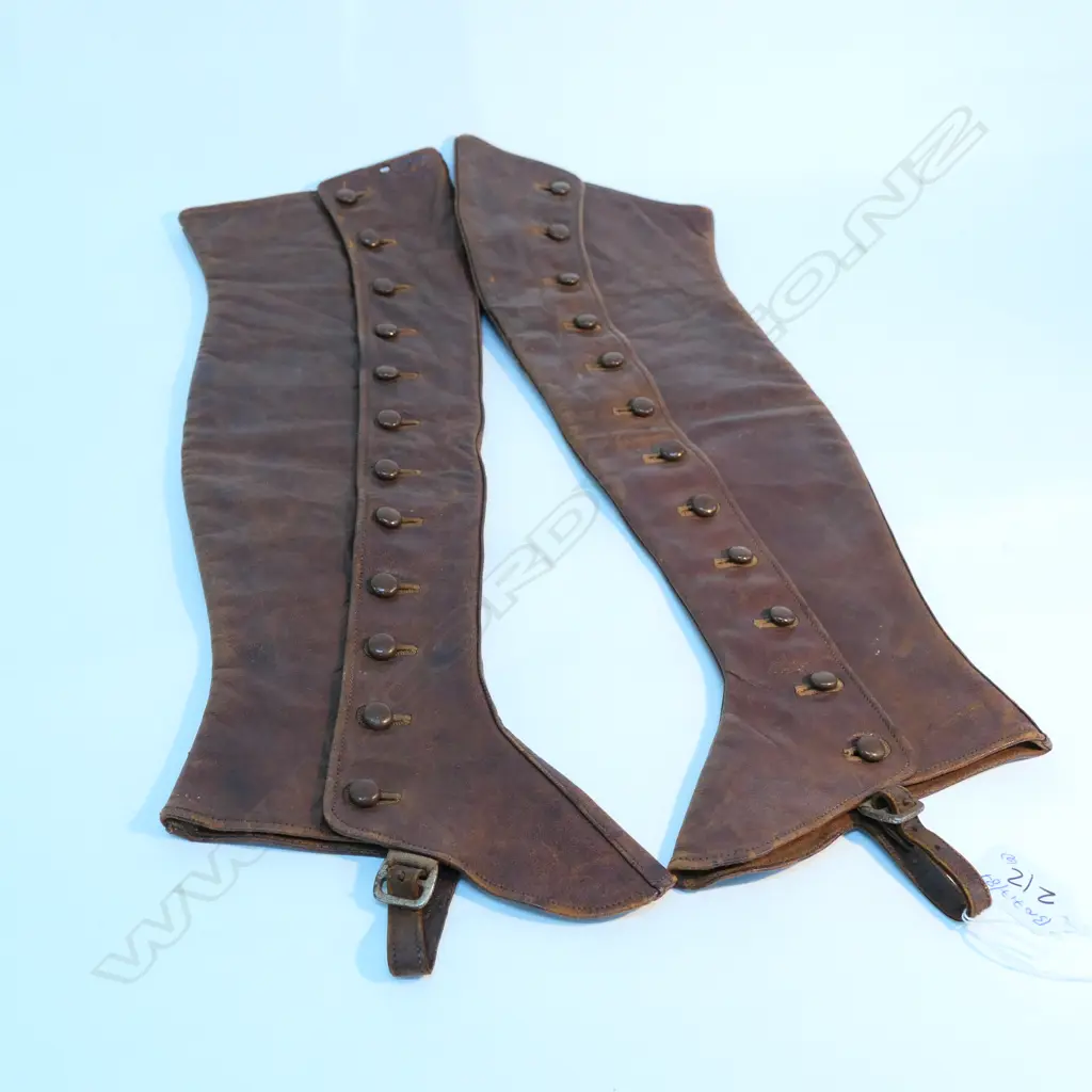 PR OF LADIES LEATHER RIDING CHOPS Image 1++